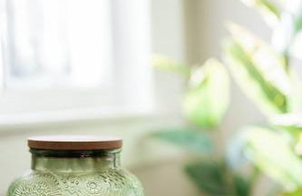 Extended Stay| Near Downtown Lex| The Wittland - Foto 22