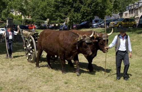 Gîte des Conquettes - Photo 26