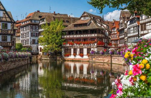 Cosy apartment on Strasbourg tramway line - Foto 14