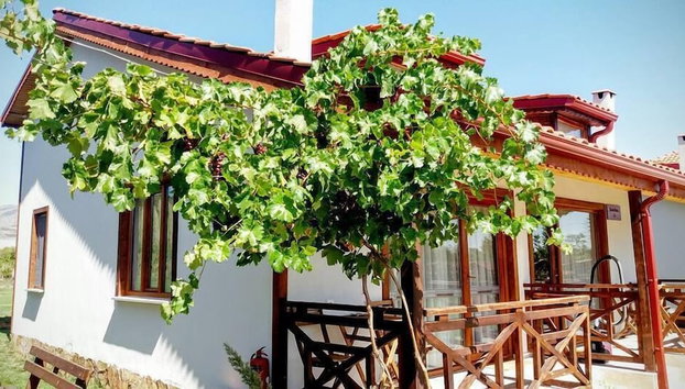 Tefenni Villas - Foto 5, Habitación