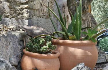 Agroturismo Finca Can Sec - Foto 41