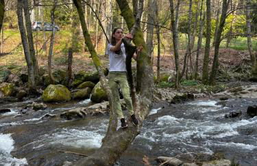 Le petit Kichon - Foto 46