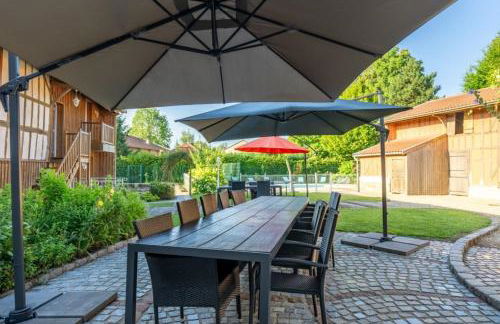 Les oiseaux - Foto 28