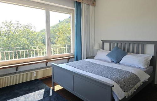 Little Rhine View Château - EG Apartment - Foto 10