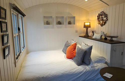 Luxury Countryside Shepherds Hut with Hot Tub - Foto 8