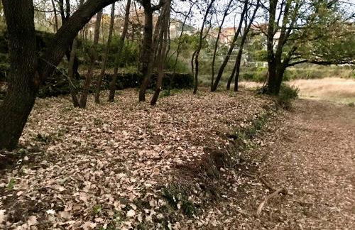 Terre di Monacella - Foto 36