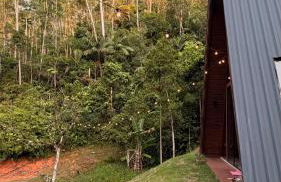 Cabana de Vidro - Canelinha - Photo 22