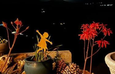 Camp David - Foto 10