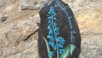 Appartamenti Chiarina - Foto 5