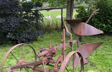 Lochhof Zwei - Eifelurlaub mit Farmcharme - Foto 40