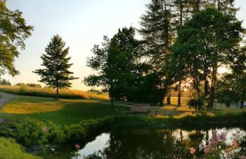 Gemütliches Apartment am Kurhaus in Dobel - Foto 34