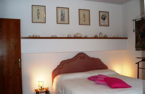 il geranio - Foto 18