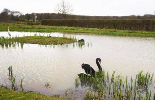 1 Bed in Horsham oc-86961 - Foto 14