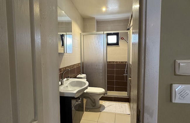 Green Bird Suit - Foto 56