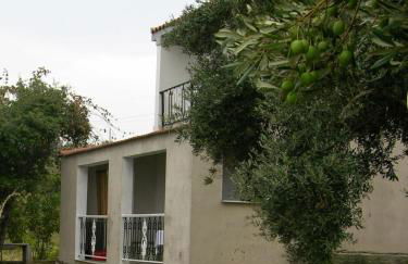 Kyra's Paradise - Foto 34