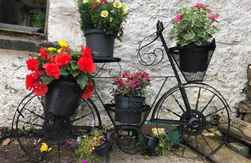 Rhubarb Cottage - Foto 34