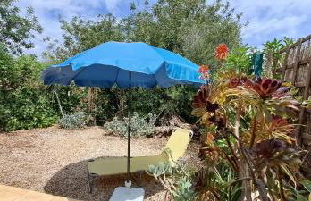 Finca Gamundi - Foto 32