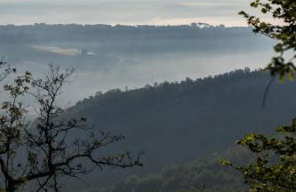 Podere Porcino - Foto 13