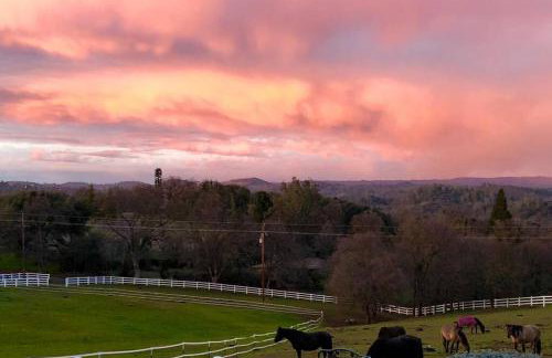 Amazing Loft on Horse Ranch - Foto 4