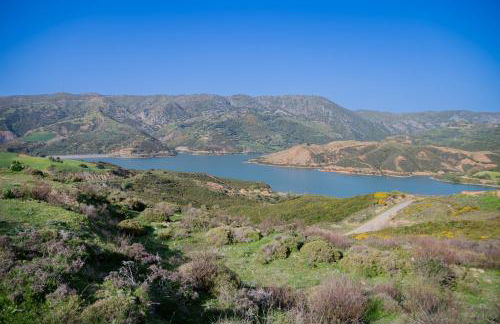 Evergreen - Photo 35