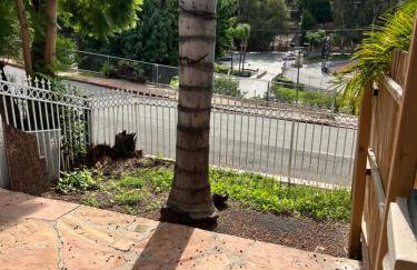 The Perfect studio - Foto 6