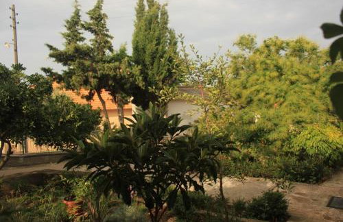 Apartments by the sea Ugljan - 8519 - Foto 19