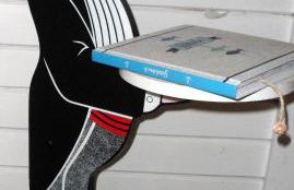 Frieslands Ferienwohnung - Foto 34