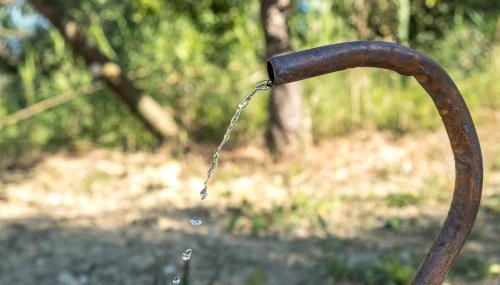 Villa la sorgente - Photo 5, Garden