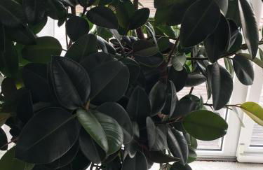 Tor zum Pfälzerwald - Foto 29