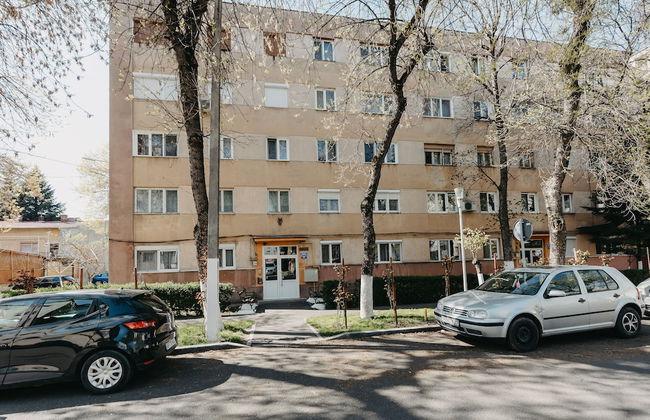 1BDR Central Apartment in Arad - Foto 39