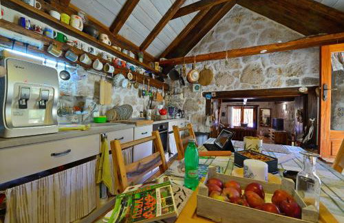 Home Sweet Home traditional Dalmatian house with pool - Photo 52