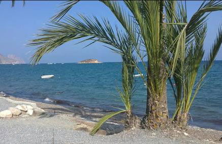 Casa Alberto - Altea - Photo 44