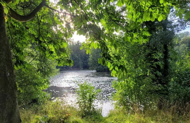 Welcoming Apartment in Meisdorf Near Nightlife - Foto 57