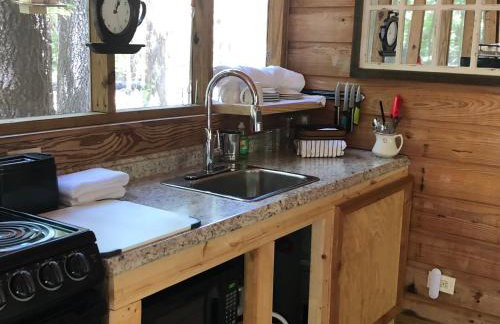 The Lazy Squirrel - Foto 8