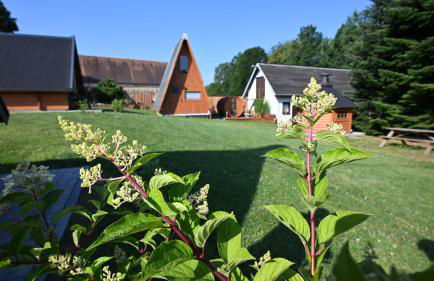 Zittau - Ferienwohnung Frieda mit Camping Familien, und Biker Hütten am Zittauer Gebirge - Foto 77