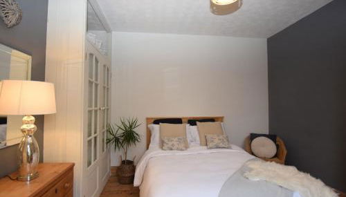 Roots & Wings - Foto 5