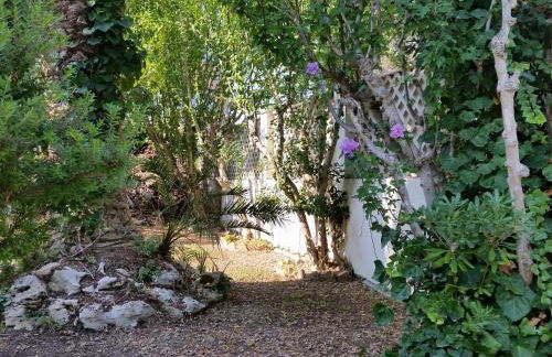 Villa sul mare - Foto 40