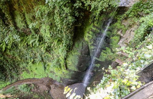 5 The Mall - Foto 37