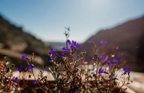 La Cata Country House - Foto 29