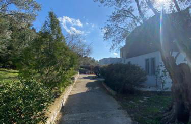 Aegean Blue Villa - Photo 18