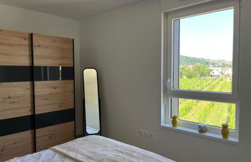 La Terrasse du Vignoble - Garage et parking privatifs - Photo 16