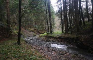 Siedlisko Podjaworzem - Photo 27