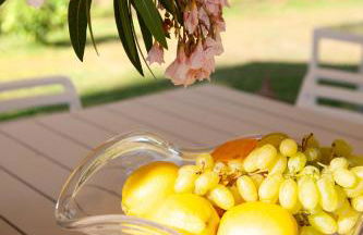 Raggio di sole, oasi di felicità - Foto 52