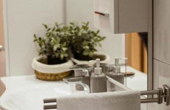 Amaryllis - Photo 35