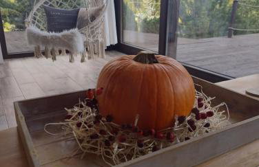 Skalny Zakątek z Grotą Solną na wyłączność - Foto 57