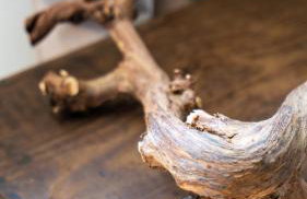 Casa Camélia - The Valley Villas - Foto 76