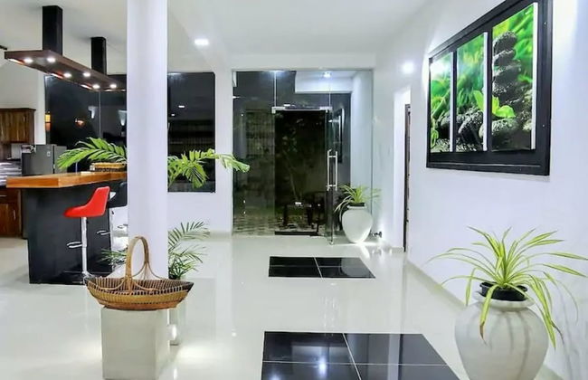 Perennial Home - Photo 9