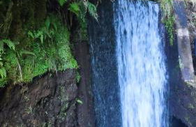 Desertas View Apartment - Foto 42