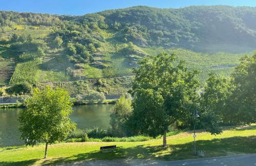Altes Winzerhaus am Moselufer - Goldgrube - Foto 10