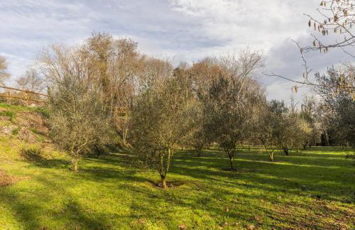 Masia elegant amb jardí i piscina - Photo 53